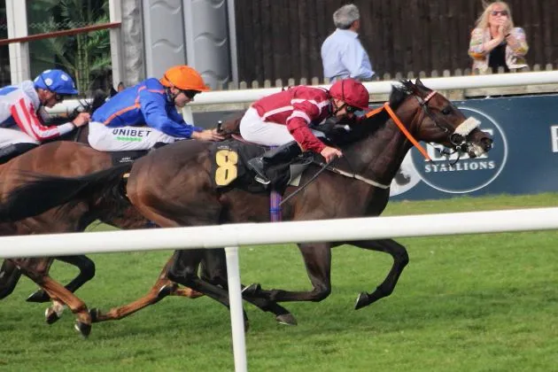 Woody heading for victory (Winners)