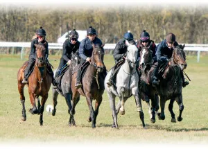 stables-2-year-olds