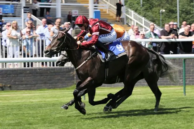 Number 13 Spring Romance (5) Nottingham 27 June 2019 resized