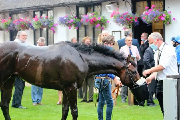 Woody having a drink after winning 24 July 2021 (Winners)