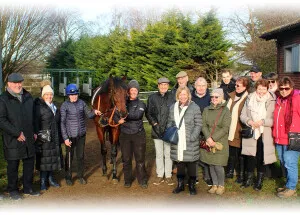 stables-buratino-amy