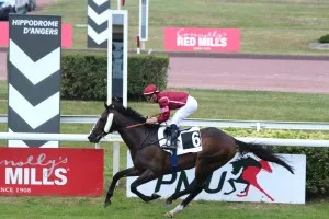 Victoire Magique - multiple big race entries