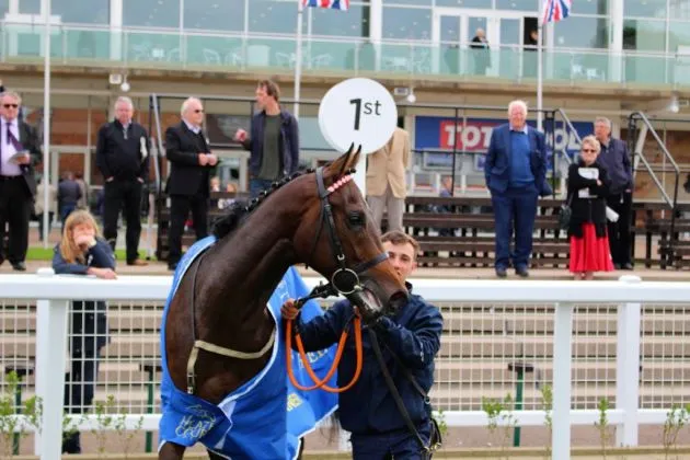 Dancinginthewoods in The Winners Enclosure (resized)