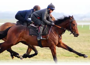 stables-archange