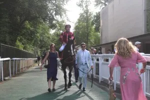 Amy greeting Victoire Magique at Chantilly